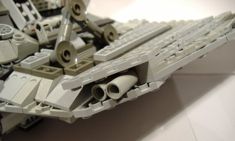 moth_details_09.jpg