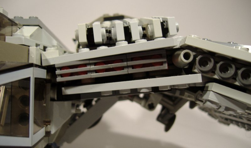moth_details_10.jpg