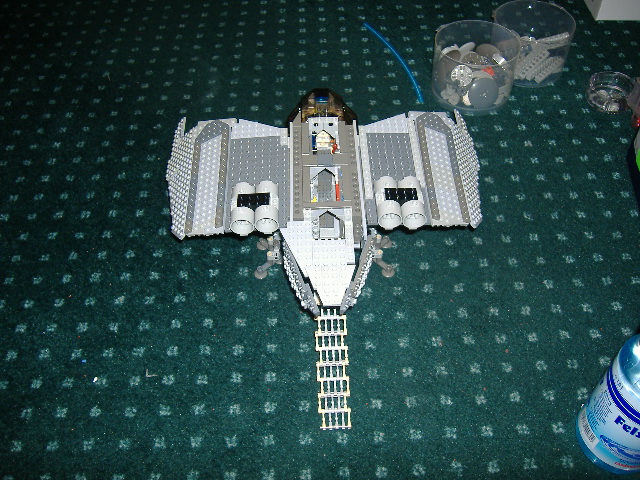 moth_wip_1.jpg