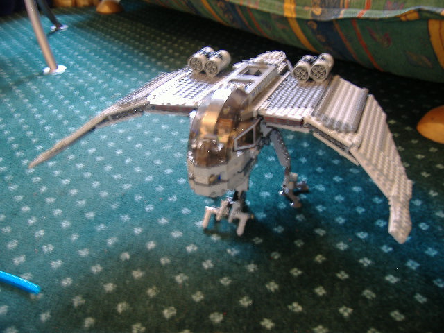 moth_wip_3.jpg
