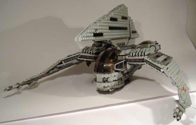 moth_04.jpg