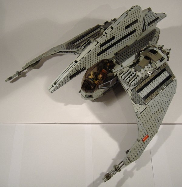 moth_05.jpg