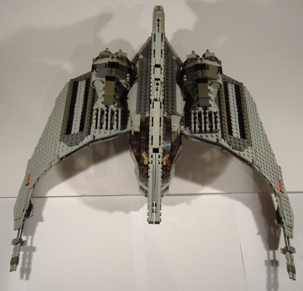 moth_06.jpg