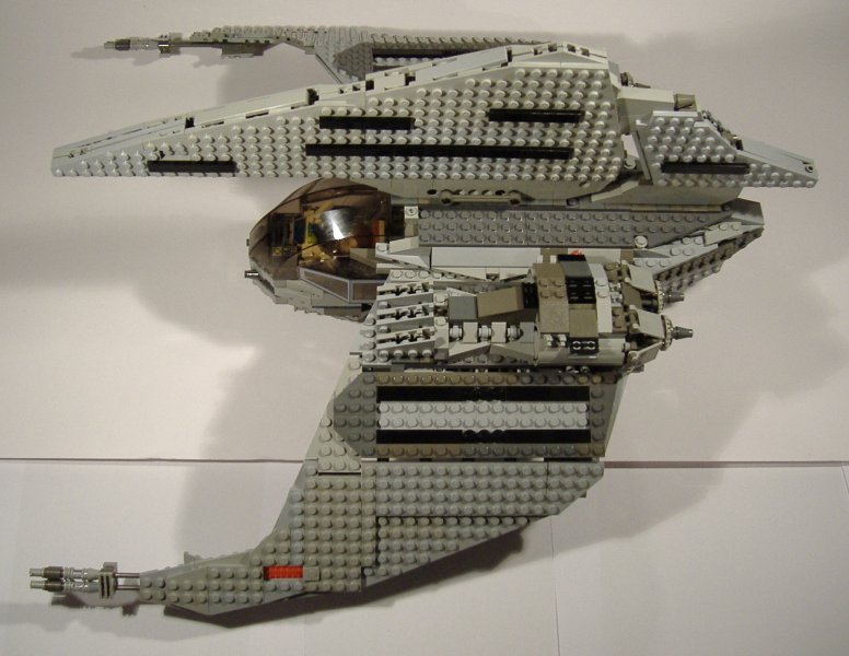 moth_07.jpg