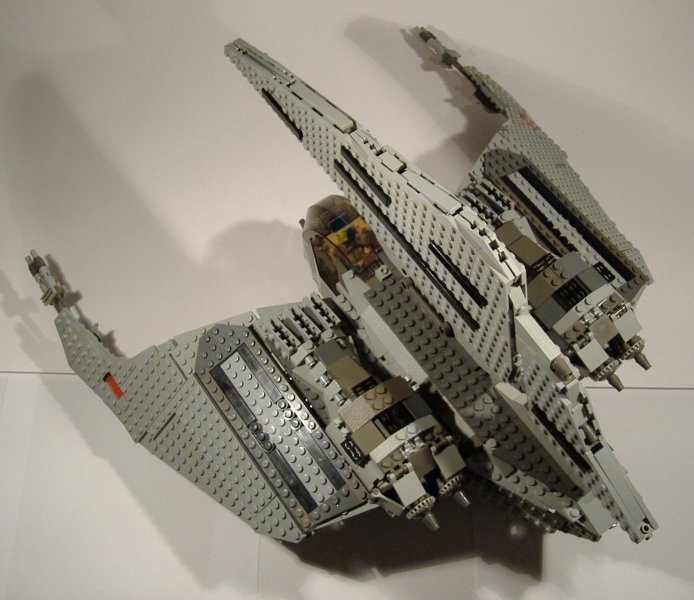 moth_08.jpg