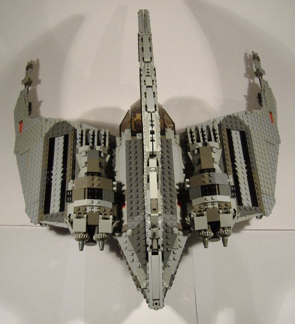 moth_09.jpg