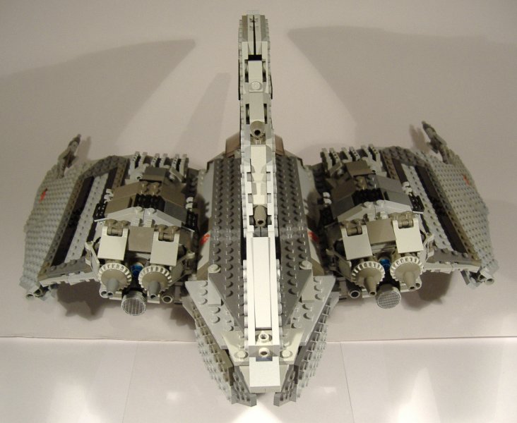 moth_10.jpg