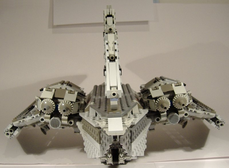 moth_11.jpg