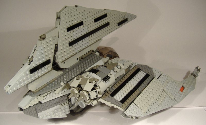 moth_13.jpg