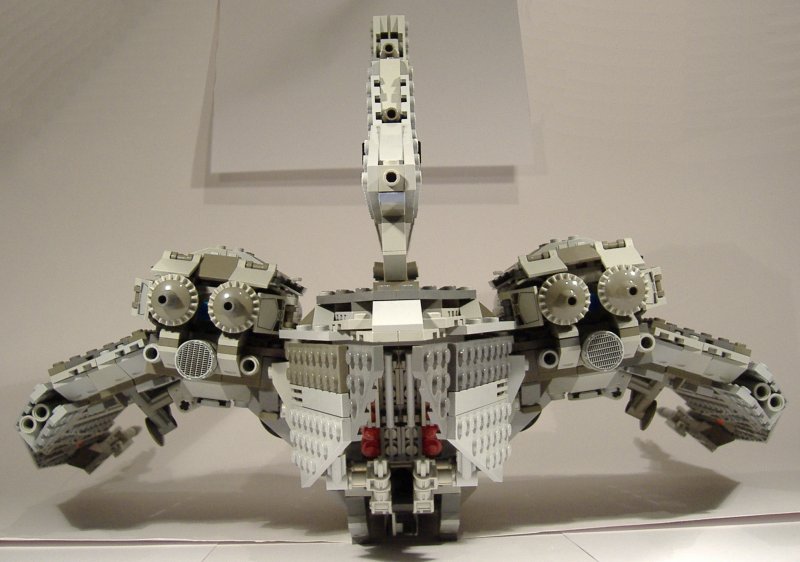 moth_15.jpg
