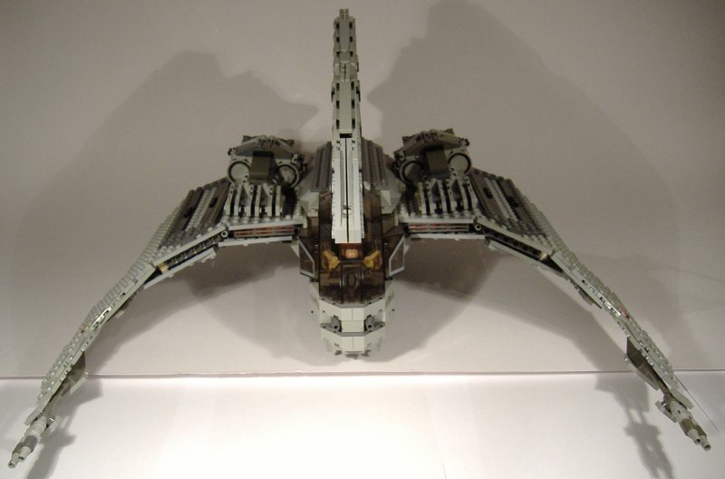 moth_20.jpg