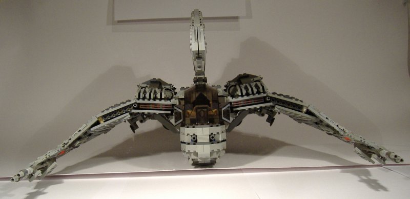 moth_21.jpg