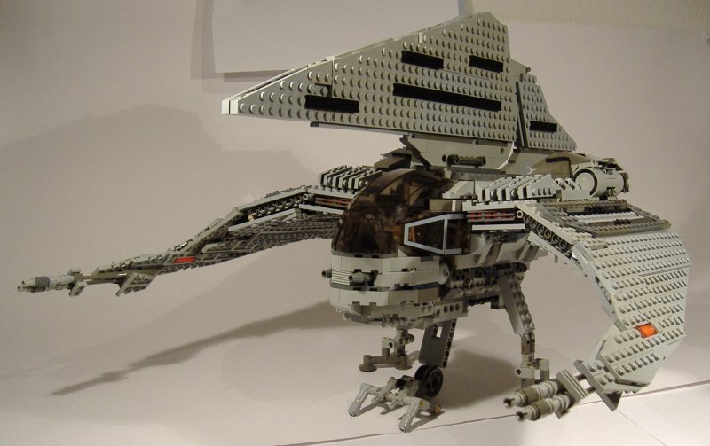 moth_22.jpg