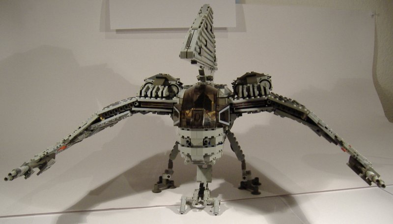 moth_23.jpg