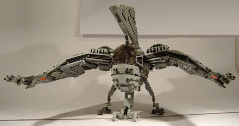 moth_24.jpg