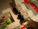 dandelion_destruction_05.jpg