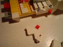 dandelion_destruction_31.jpg