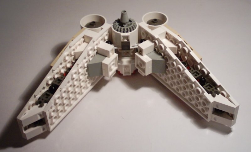 miaplacidus_wingconstruction_1.jpg