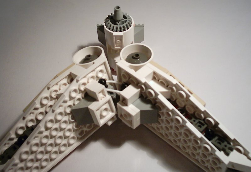 miaplacidus_wingconstruction_3.jpg