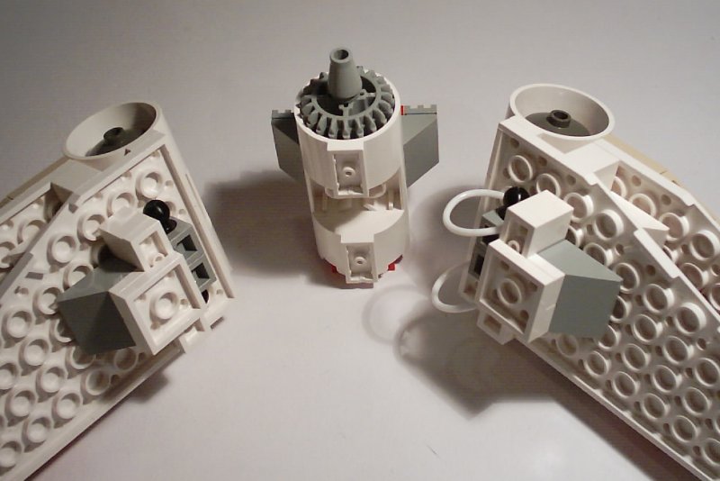 miaplacidus_wingconstruction_4.jpg