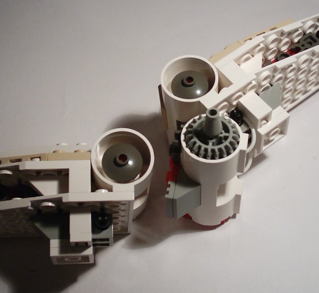 miaplacidus_wingconstruction_5.jpg