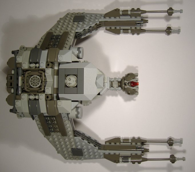 rhino_14.jpg