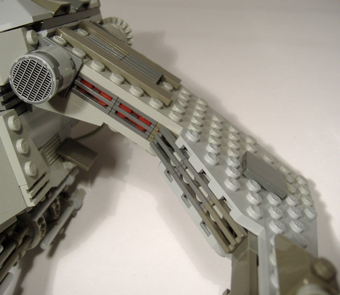 rhino_details_6.jpg