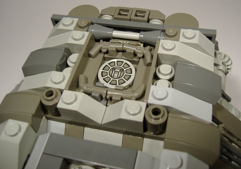 rhino_details_7.jpg