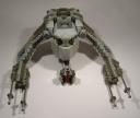 rhino_04.jpg