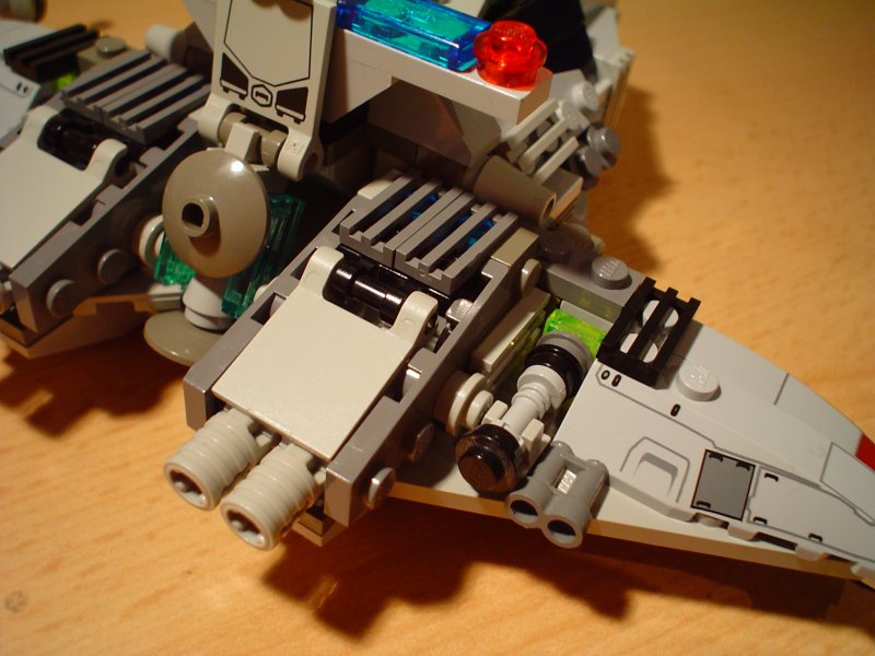 regulus_13.jpg