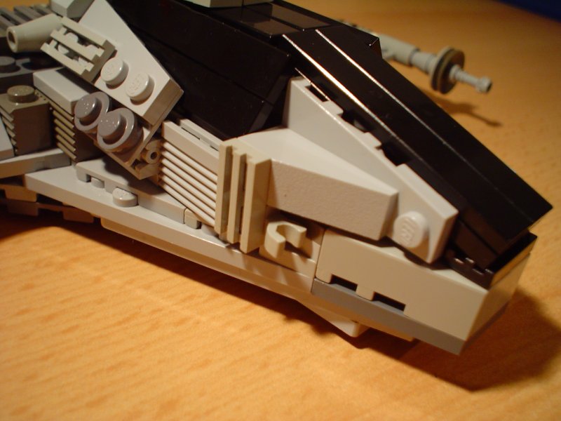 regulus_19.jpg