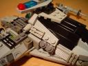 regulus_20.jpg