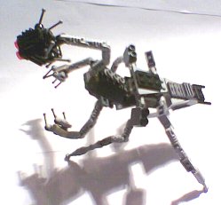 zachary_04.jpg