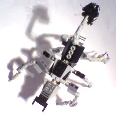 zachary_05.jpg