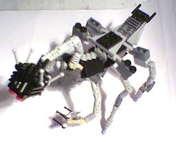 zachary_06.jpg