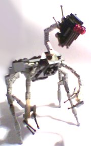 zachary_07.jpg