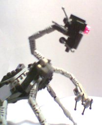 zachary_08.jpg