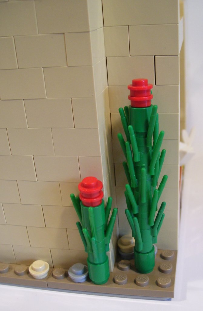 gatlings_stronghold_cacti.jpg