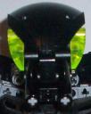beetle1.jpg