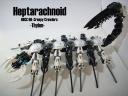 heptarachnoid.jpg