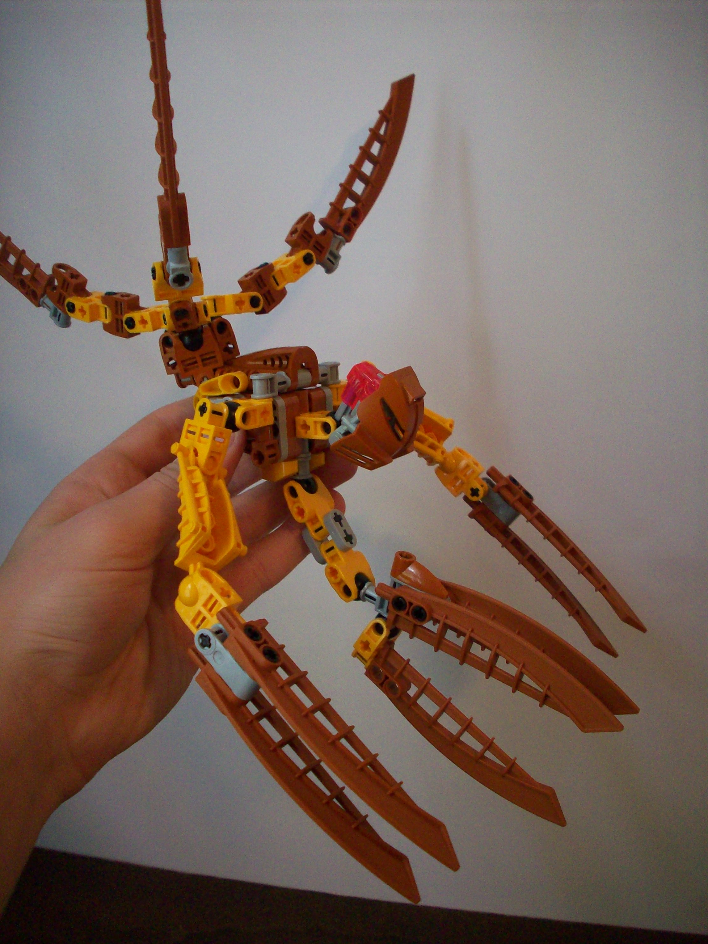 100_5050.jpg