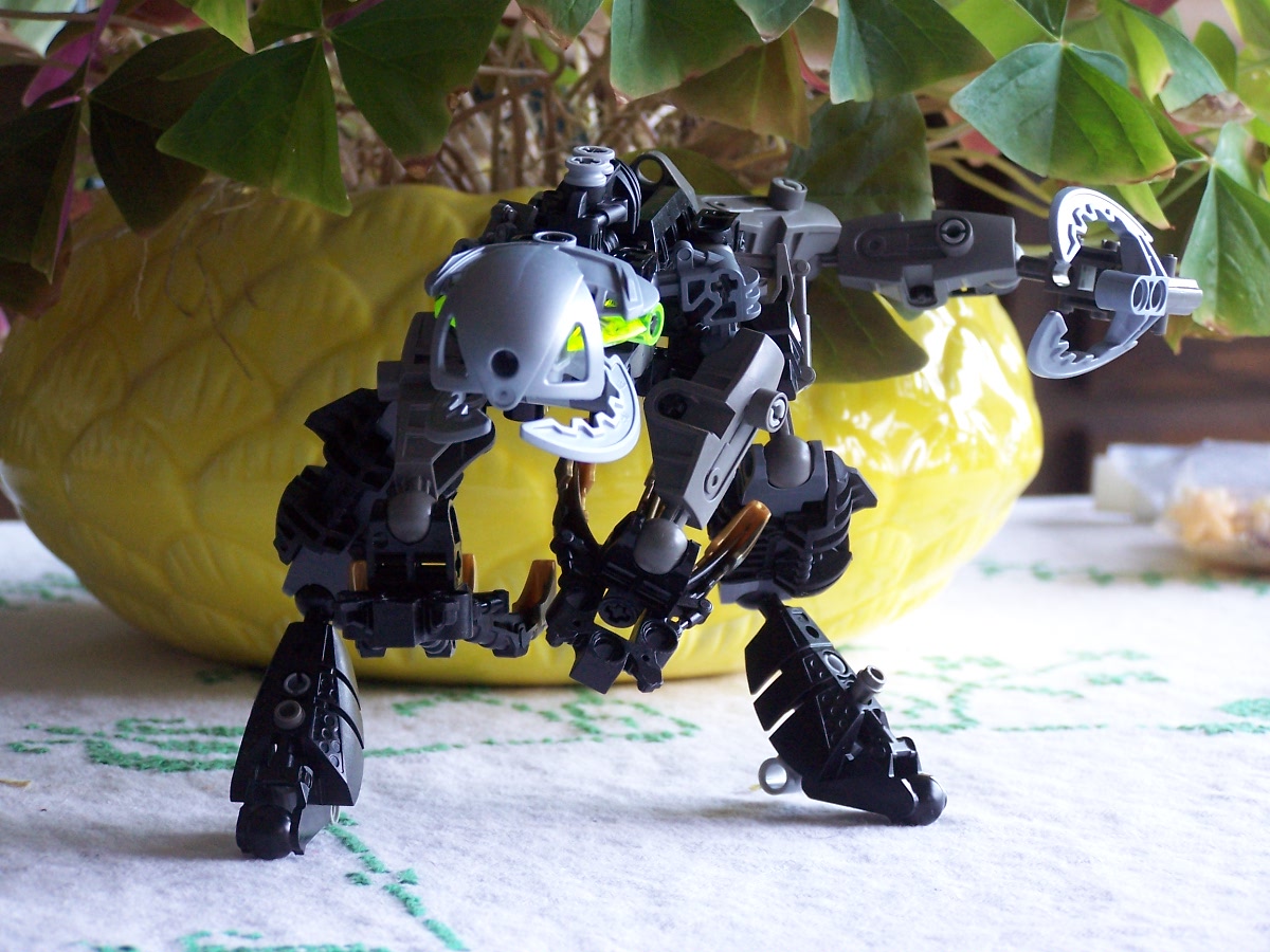 katwaka_front.jpg