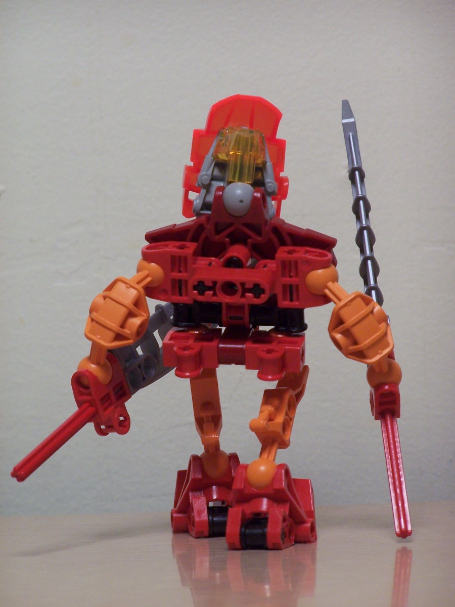 tavek_back.jpg
