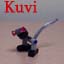 kuvi_av.jpg