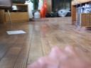 101_3711.jpg