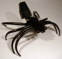 4727_aragog_3.jpg