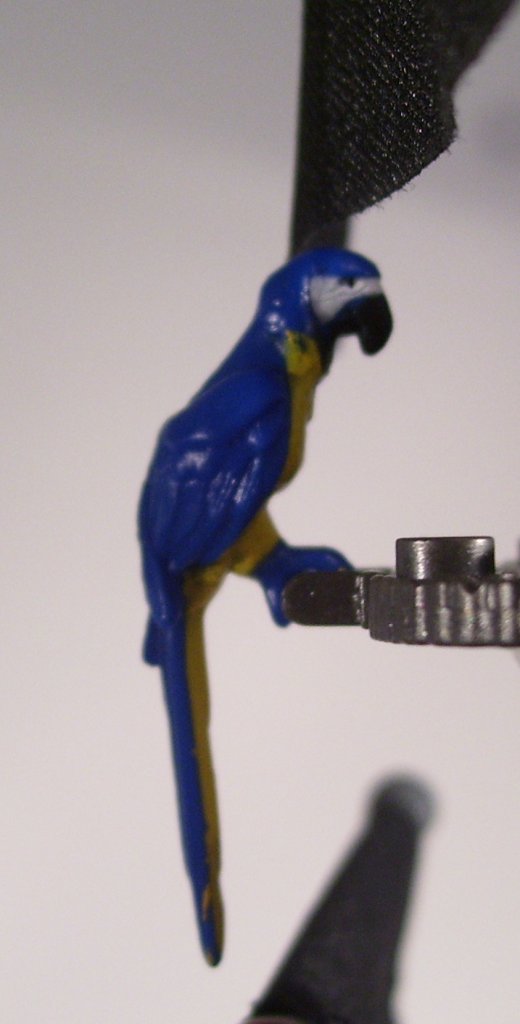 details12.jpg