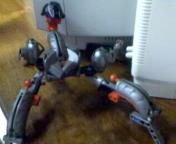newpics1.jpg
