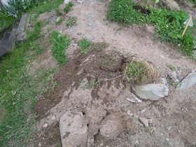 byggeplassen_015_nysaadd_gress.jpg
