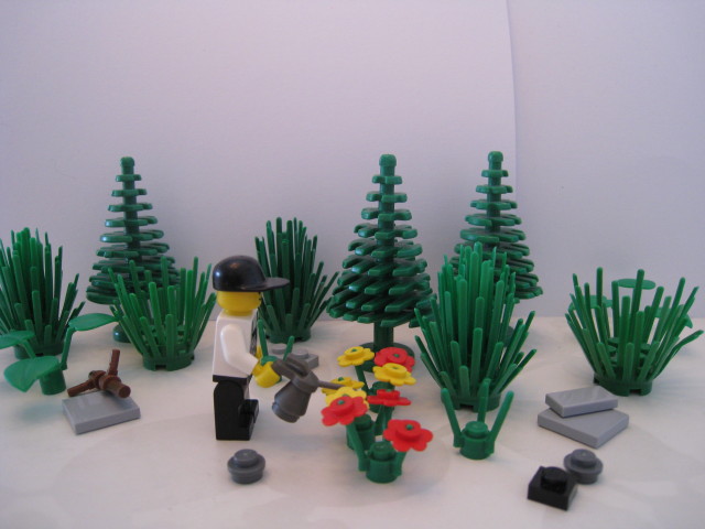the_gardener_in_the_town.jpg